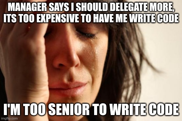First World Problems Meme | MANAGER SAYS I SHOULD DELEGATE MORE, ITS TOO EXPENSIVE TO HAVE ME WRITE CODE; I'M TOO SENIOR TO WRITE CODE | image tagged in memes,first world problems,ProgrammerHumor | made w/ Imgflip meme maker