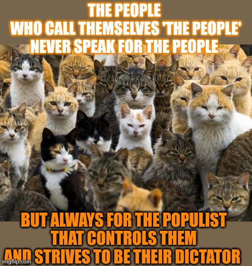 This #lolcat wonders if 'The People' realize they don't speak for 'The People' at all | THE PEOPLE 
WHO CALL THEMSELVES 'THE PEOPLE'
NEVER SPEAK FOR THE PEOPLE; BUT ALWAYS FOR THE POPULIST
THAT CONTROLS THEM
AND STRIVES TO BE THEIR DICTATOR | image tagged in stupid people,dictator,manipulation,gullible,lolcat,think about it | made w/ Imgflip meme maker