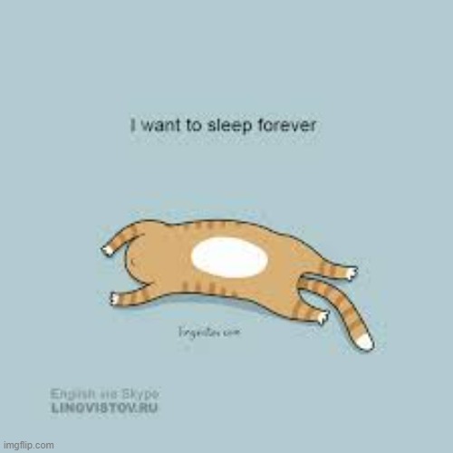 A Cat's Way Of Thinking | image tagged in memes,comics,cats,this is my life,sleep,forever | made w/ Imgflip meme maker