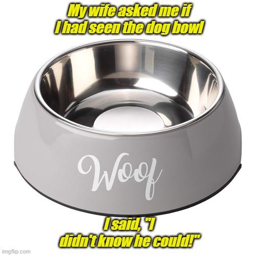Dad Joke Of the Day! |  My wife asked me if I had seen the dog bowl; I said, "I didn't know he could!" | image tagged in bad pun dog,dad joke meme,dog,bowl | made w/ Imgflip meme maker