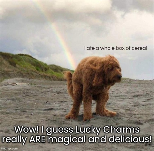 Toot Me A Rainbow | I ate a whole box of cereal; Wow! I guess Lucky Charms really ARE magical and delicious! | image tagged in funny memes,funny dog memes | made w/ Imgflip meme maker