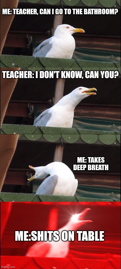 Janitor: bruh | ME: TEACHER, CAN I GO TO THE BATHROOM? TEACHER: I DON'T KNOW, CAN YOU? ME: TAKES DEEP BREATH; ME:SHITS ON TABLE | image tagged in memes,inhaling seagull | made w/ Imgflip meme maker