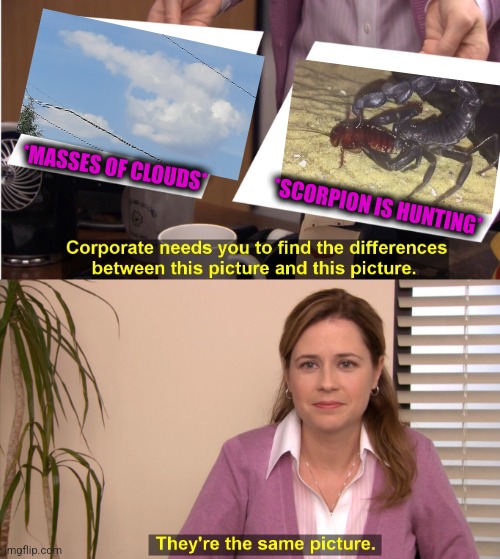 -Before second about setting poison. | *MASSES OF CLOUDS*; *SCORPION IS HUNTING* | image tagged in memes,they're the same picture,scorpion,cockroach,don't feed the trolls,totally looks like | made w/ Imgflip meme maker