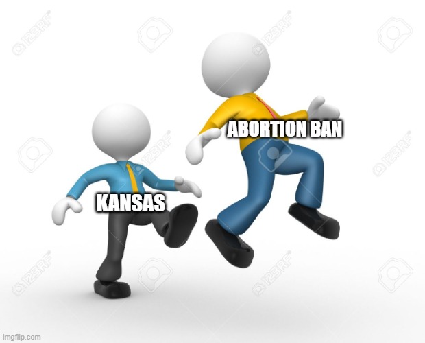 Kicking ass | KANSAS ABORTION BAN | image tagged in kicking ass | made w/ Imgflip meme maker