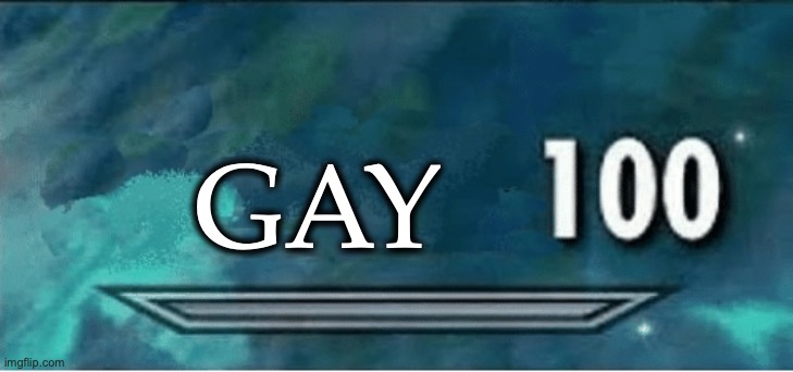 Skyrim 100 Blank | GAY | image tagged in skyrim 100 blank | made w/ Imgflip meme maker