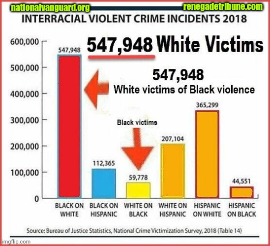 BLACK CRIMES Blank Meme Template