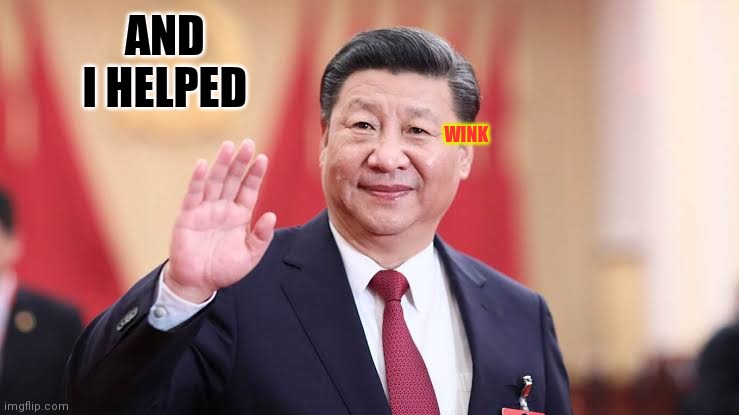 Xi Jinping | AND I HELPED WINK | image tagged in xi jinping | made w/ Imgflip meme maker