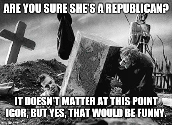 ARE YOU SURE SHE'S A REPUBLICAN? IT DOESN'T MATTER AT THIS POINT IGOR, BUT YES, THAT WOULD BE FUNNY. | made w/ Imgflip meme maker