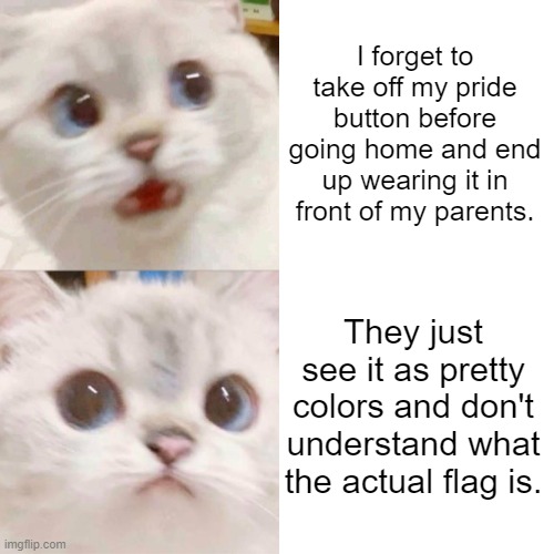 "Yup, I definitely just like the colors and am one hundred percent your cisgender heterosexual daughter!" | I forget to take off my pride button before going home and end up wearing it in front of my parents. They just see it as pretty colors and don't understand what the actual flag is. | image tagged in panik - calm cat | made w/ Imgflip meme maker