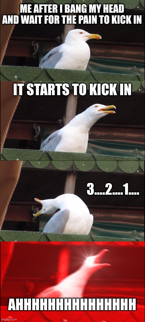 Inhaling Seagull | ME AFTER I BANG MY HEAD AND WAIT FOR THE PAIN TO KICK IN; IT STARTS TO KICK IN; 3....2....1.... AHHHHHHHHHHHHHHH | image tagged in memes,inhaling seagull | made w/ Imgflip meme maker