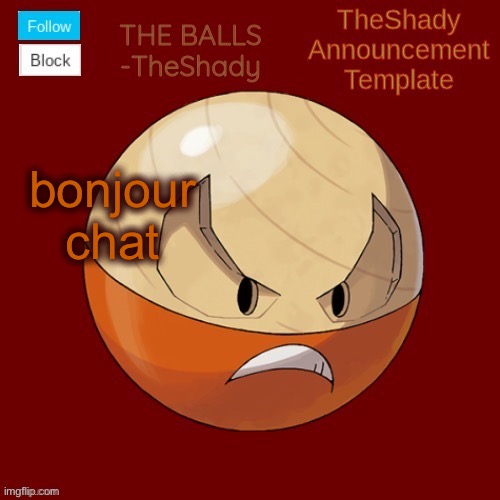 Shadys uhhhh hisuian electrode temp thanks TBMR | bonjour chat | image tagged in shadys uhhhh hisuian electrode temp thanks tbmr | made w/ Imgflip meme maker