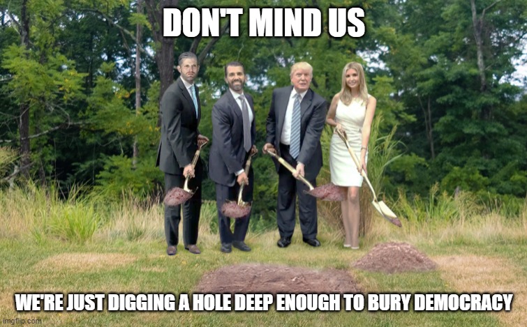 Trumps digging | DON'T MIND US; WE'RE JUST DIGGING A HOLE DEEP ENOUGH TO BURY DEMOCRACY | image tagged in trumps digging | made w/ Imgflip meme maker