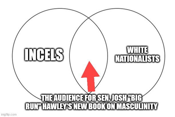 venn diagram | WHITE NATIONALISTS; INCELS; THE AUDIENCE FOR SEN. JOSH "BIG RUN" HAWLEY'S NEW BOOK ON MASCULINITY | image tagged in venn diagram | made w/ Imgflip meme maker