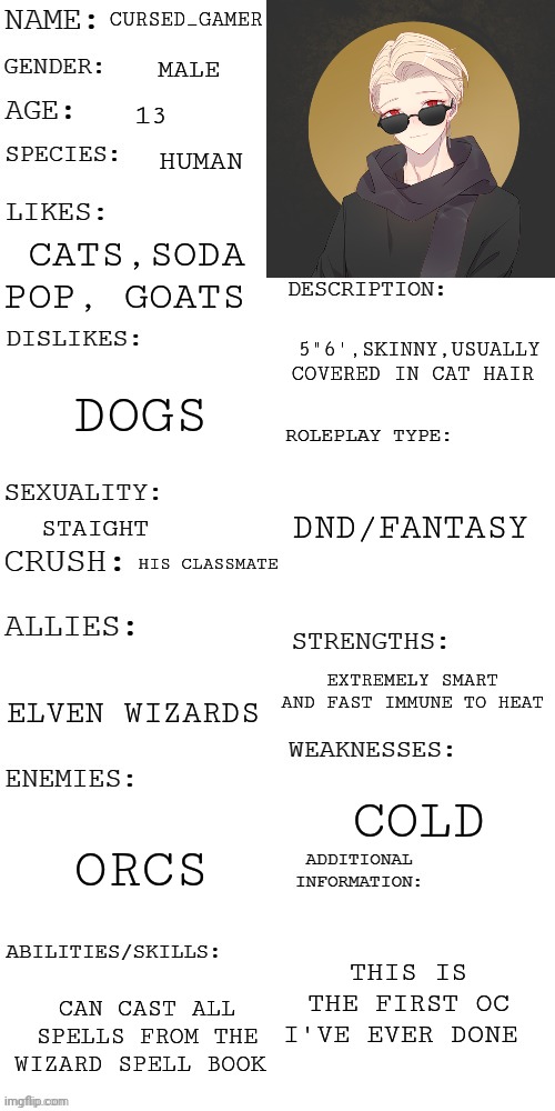 (Updated) Roleplay OC showcase | CURSED_GAMER; MALE; 13; HUMAN; CATS,SODA POP, GOATS; 5"6',SKINNY,USUALLY COVERED IN CAT HAIR; DOGS; DND/FANTASY; STAIGHT; HIS CLASSMATE; EXTREMELY SMART AND FAST IMMUNE TO HEAT; ELVEN WIZARDS; COLD; ORCS; THIS IS THE FIRST OC I'VE EVER DONE; CAN CAST ALL SPELLS FROM THE WIZARD SPELL BOOK | image tagged in updated roleplay oc showcase | made w/ Imgflip meme maker