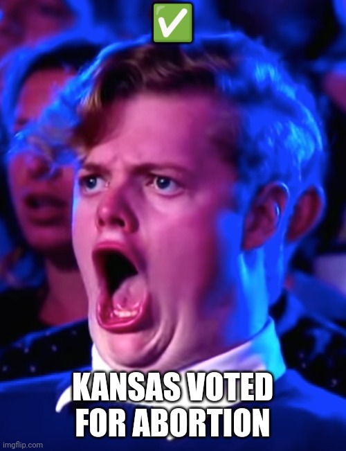 Kansas voted for abortion | ✅; KANSAS VOTED FOR ABORTION | image tagged in shock horror 2 | made w/ Imgflip meme maker