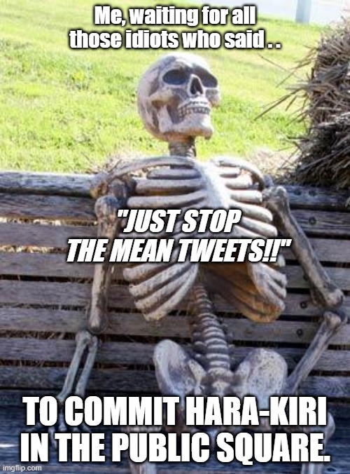 Hara-Kiri Skeleton | Me, waiting for all those idiots who said . . "JUST STOP THE MEAN TWEETS!!"; TO COMMIT HARA-KIRI IN THE PUBLIC SQUARE. | image tagged in memes,waiting skeleton,american politics,democrats,inflation,joe biden | made w/ Imgflip meme maker