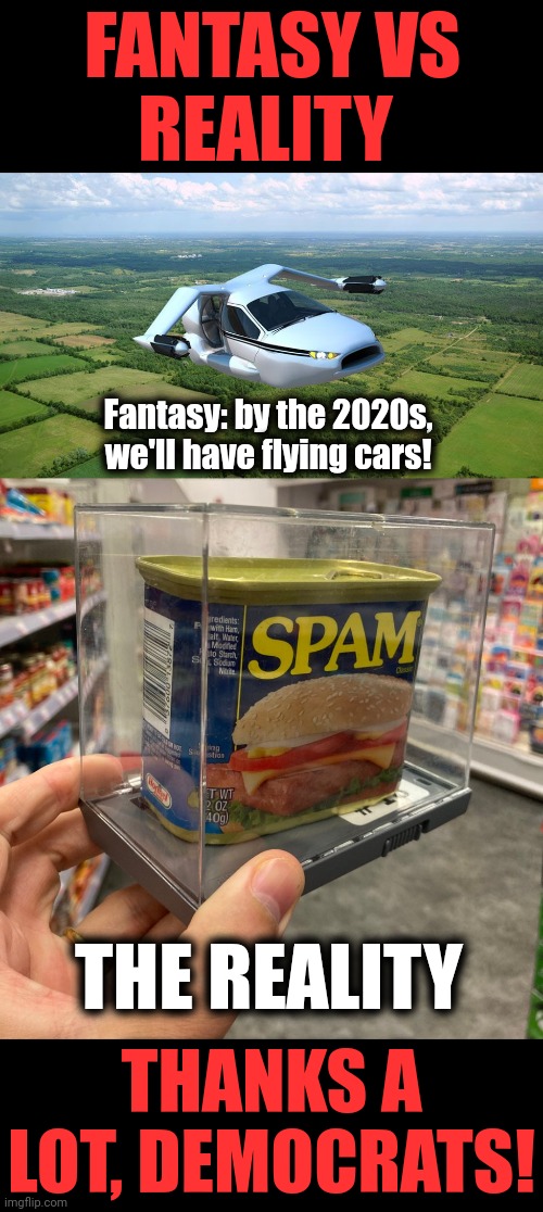 FANTASY VS
REALITY; Fantasy: by the 2020s, we'll have flying cars! THE REALITY; THANKS A LOT, DEMOCRATS! | image tagged in memes,flying cars,future,spam,democrats,security box | made w/ Imgflip meme maker