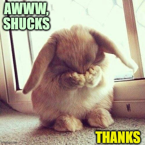 Shy rabbit | AWWW,
SHUCKS THANKS | image tagged in shy rabbit | made w/ Imgflip meme maker