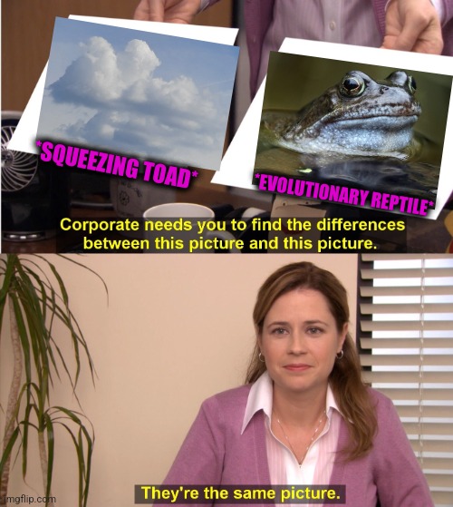 -Try your brains to recognize. | *SQUEEZING TOAD*; *EVOLUTIONARY REPTILE* | image tagged in memes,they're the same picture,hypnotoad,cloud strife,water,totally looks like | made w/ Imgflip meme maker