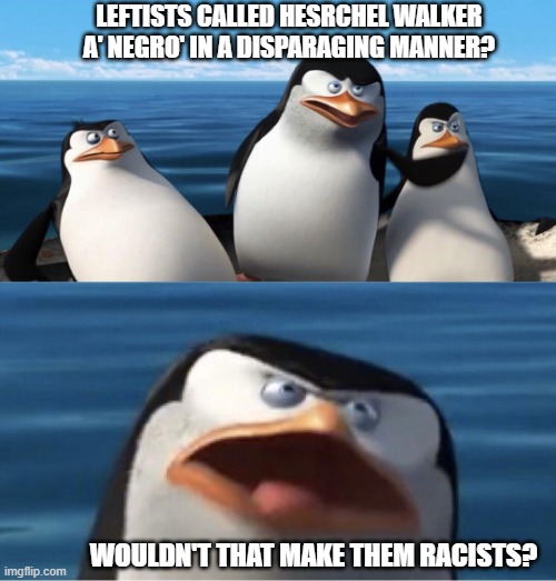 Why, yes, yes it would . . . and . . . DID. | LEFTISTS CALLED HESRCHEL WALKER A' NEGRO' IN A DISPARAGING MANNER? WOULDN'T THAT MAKE THEM RACISTS? | image tagged in wouldn't that make you | made w/ Imgflip meme maker