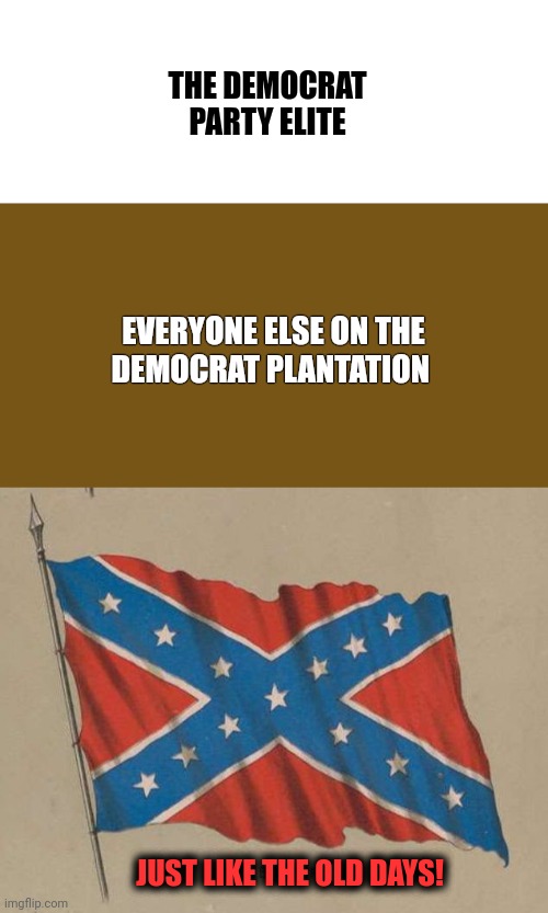 Stop being fooled! | THE DEMOCRAT
PARTY ELITE; EVERYONE ELSE ON THE
DEMOCRAT PLANTATION; JUST LIKE THE OLD DAYS! | image tagged in memes,democrats,white,people of color,plantation | made w/ Imgflip meme maker