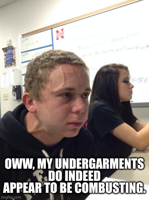 Hold fart | OWW, MY UNDERGARMENTS DO INDEED APPEAR TO BE COMBUSTING. | image tagged in hold fart | made w/ Imgflip meme maker