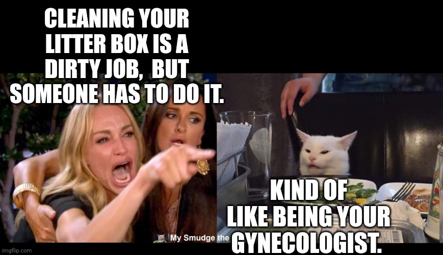 CLEANING YOUR LITTER BOX IS A DIRTY JOB,  BUT SOMEONE HAS TO DO IT. KIND OF LIKE BEING YOUR GYNECOLOGIST. | image tagged in smudge the cat,woman yelling at cat | made w/ Imgflip meme maker
