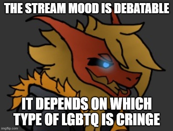 dead chat | THE STREAM MOOD IS DEBATABLE; IT DEPENDS ON WHICH TYPE OF LGBTQ IS CRINGE | image tagged in skid/toof's oc lmao | made w/ Imgflip meme maker