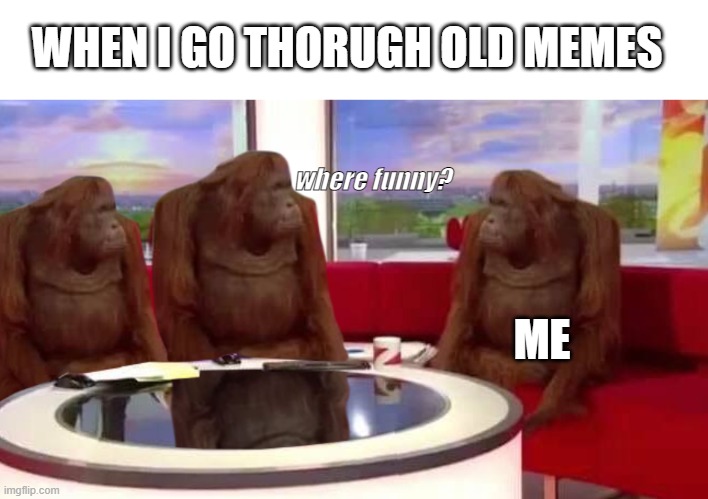 Where Funny? | WHEN I GO THORUGH OLD MEMES; where funny? ME | image tagged in where monkey,funny,monkey | made w/ Imgflip meme maker