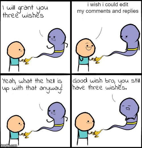 3 Wishes |  i wish i could edit my comments and replies | image tagged in 3 wishes,wish,edit,comments,reply,comment | made w/ Imgflip meme maker