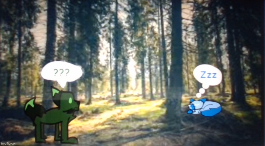 M0ssie and Unnamed in the forest! (Gift for M0ss_The_Gh0st ) | image tagged in forest background,m0ssie,unnamed,yes i used a google image of a forest | made w/ Imgflip meme maker