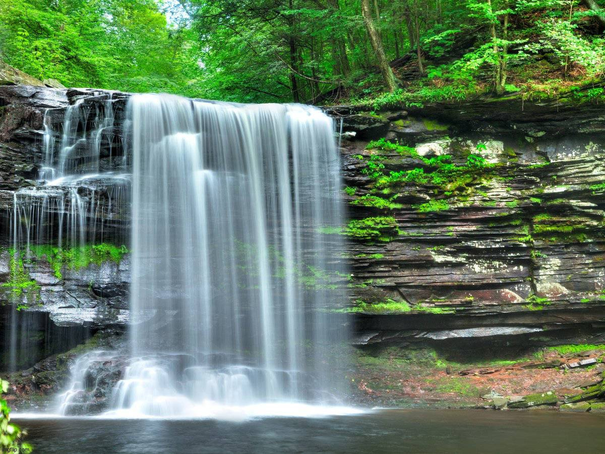 PENNSYLVANIA Ricketts Glen | image tagged in awesome | made w/ Imgflip meme maker