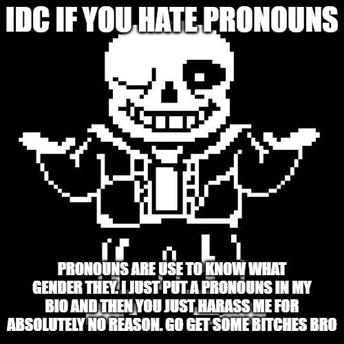 High Quality idc if you hate pronouns Blank Meme Template