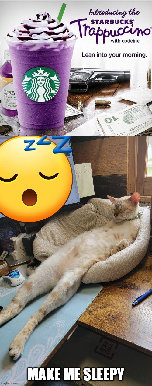 MAKE ME SLEEPY | image tagged in sleepy cat,fake | made w/ Imgflip meme maker