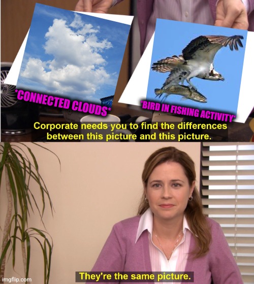 -How to live a day in wild nature. | *CONNECTED CLOUDS*; *BIRD IN FISHING ACTIVITY* | image tagged in memes,they're the same picture,angry birds,fishing for upvotes,totally looks like,soundcloud | made w/ Imgflip meme maker