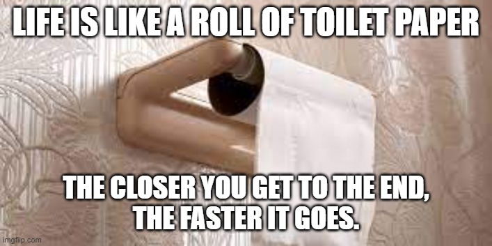 life | LIFE IS LIKE A ROLL OF TOILET PAPER; THE CLOSER YOU GET TO THE END,
THE FASTER IT GOES. | image tagged in the end | made w/ Imgflip meme maker