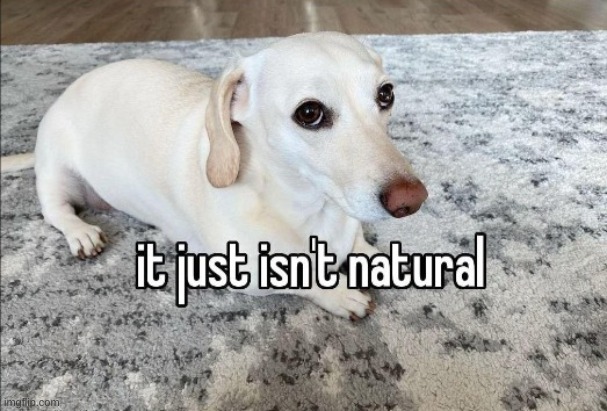 it just isn't natural | image tagged in it just isn't natural | made w/ Imgflip meme maker