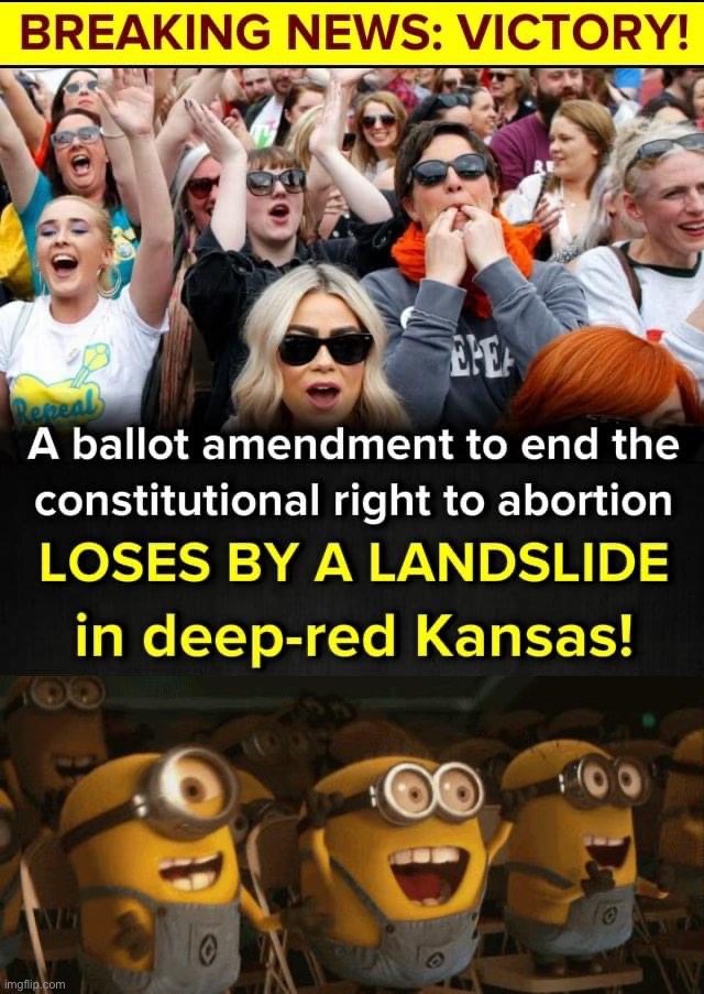 A misleading, disingenuous ballot measure to steal abortion rights went down in flames. Kansans are smart and practical. | image tagged in kansas votes pro-choice,cheering minions,kansas,abortion,pro-choice,womens rights | made w/ Imgflip meme maker