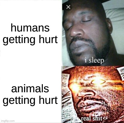 animals >> humans | humans getting hurt; animals getting hurt | image tagged in memes,sleeping shaq | made w/ Imgflip meme maker
