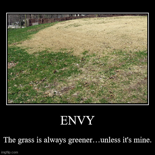 Because my water bill is too dang high | ENVY | The grass is always greener…unless it's mine. | image tagged in funny,demotivationals | made w/ Imgflip demotivational maker