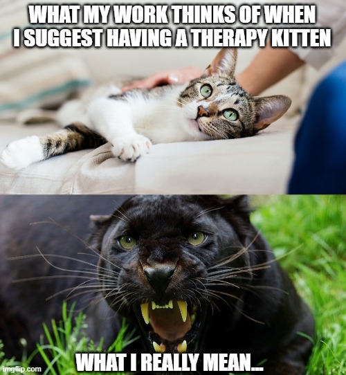Here kitty kitty.... |  WHAT MY WORK THINKS OF WHEN I SUGGEST HAVING A THERAPY KITTEN; WHAT I REALLY MEAN... | image tagged in cats,therapy per,work | made w/ Imgflip meme maker