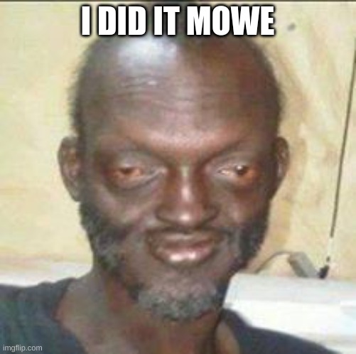 I LikE it | I DID IT MOWE | image tagged in i like it | made w/ Imgflip meme maker