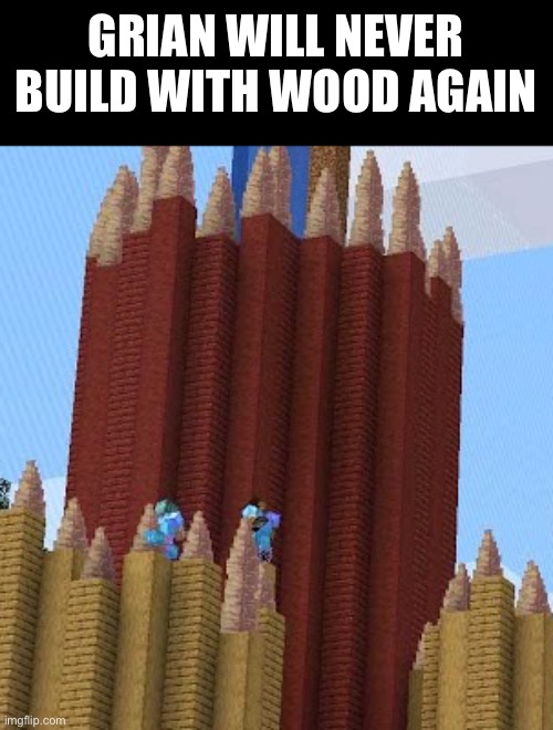 No more wood????? | GRIAN WILL NEVER BUILD WITH WOOD AGAIN | image tagged in memes,funny,grian,double life,minecraft,building | made w/ Imgflip meme maker
