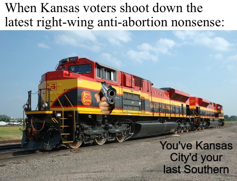 In a landslide, Kansans voted to preserve their state constitution’s guarantee of abortion rights. | When Kansas voters shoot down the latest right-wing anti-abortion nonsense: | image tagged in you've kansas city'd your last southern | made w/ Imgflip meme maker