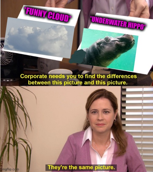 -Detection of types. | *FUNNY CLOUD*; *UNDERWATER HIPPO* | image tagged in memes,they're the same picture,bill nye the science guy,evolution,south africa,hippopotamus | made w/ Imgflip meme maker
