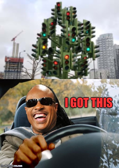 I GOT THIS | image tagged in stevie wonder driving | made w/ Imgflip meme maker