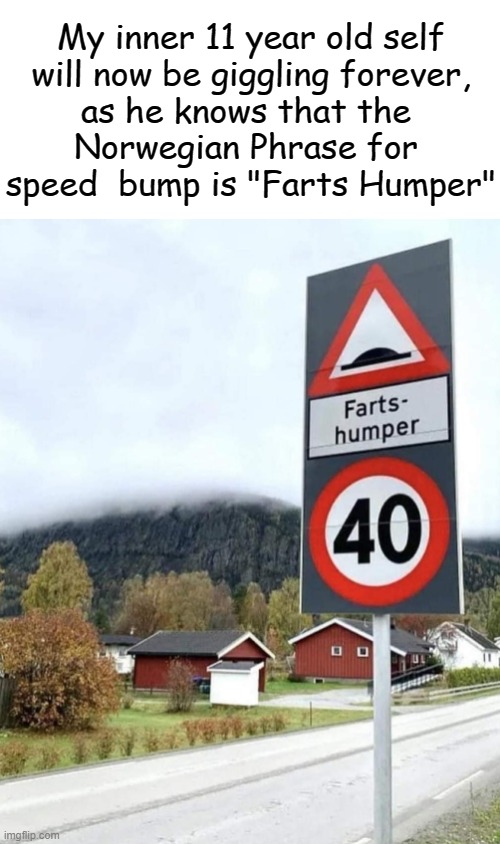 I Never Managed To Go Beyond The Age Of 11 | My inner 11 year old self
will now be giggling forever,
as he knows that the 
Norwegian Phrase for 
speed  bump is "Farts Humper" | image tagged in 11,farts,hump | made w/ Imgflip meme maker