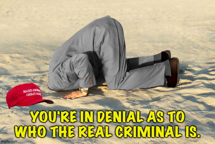 head in sand | YOU'RE IN DENIAL AS TO WHO THE REAL CRIMINAL IS. | image tagged in head in sand | made w/ Imgflip meme maker