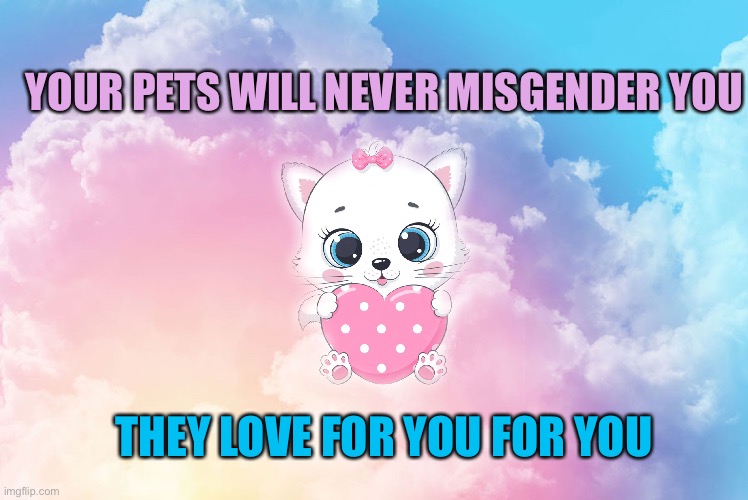 Pets won’t misgender you | YOUR PETS WILL NEVER MISGENDER YOU; THEY LOVE FOR YOU FOR YOU | image tagged in transgender,transphobic,cats,pets | made w/ Imgflip meme maker