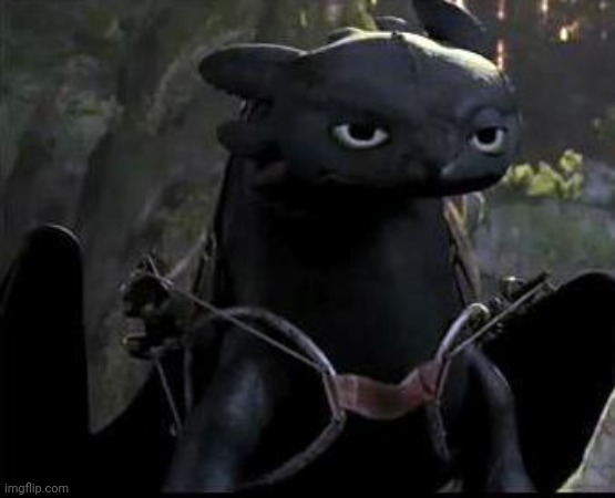 Caption this | image tagged in bored dragon,httyd,how to train your dragon,toothless,night fury,dragon | made w/ Imgflip meme maker
